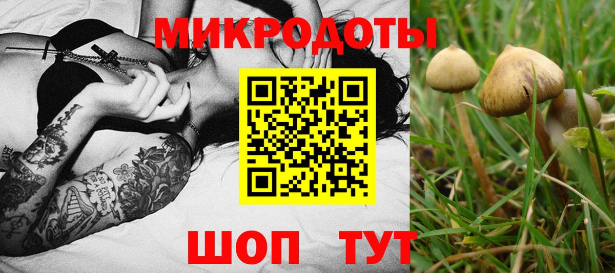 Псилоцибиновые грибы MAGIC MUSHROOMS  Вход с VPN  Аксай 